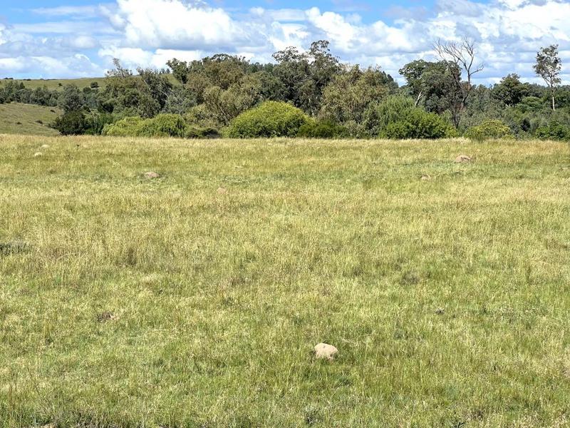 0 Bedroom Property for Sale in Lindley Free State
